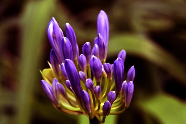 FIFA选定埃及对伊朗为2026世界杯骄傲之战